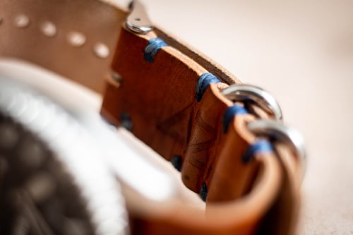 Image of Strap 20