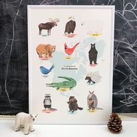 North America Animals Print