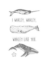 Image 2 of I whaley, whaley, whaley like you.