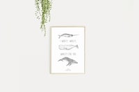 Image 1 of I whaley, whaley, whaley like you.