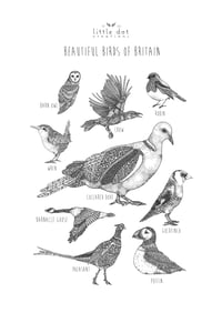 Image 2 of Beautiful Birds of Britain