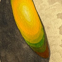 Image 6 of “The Illuminating Discovery”