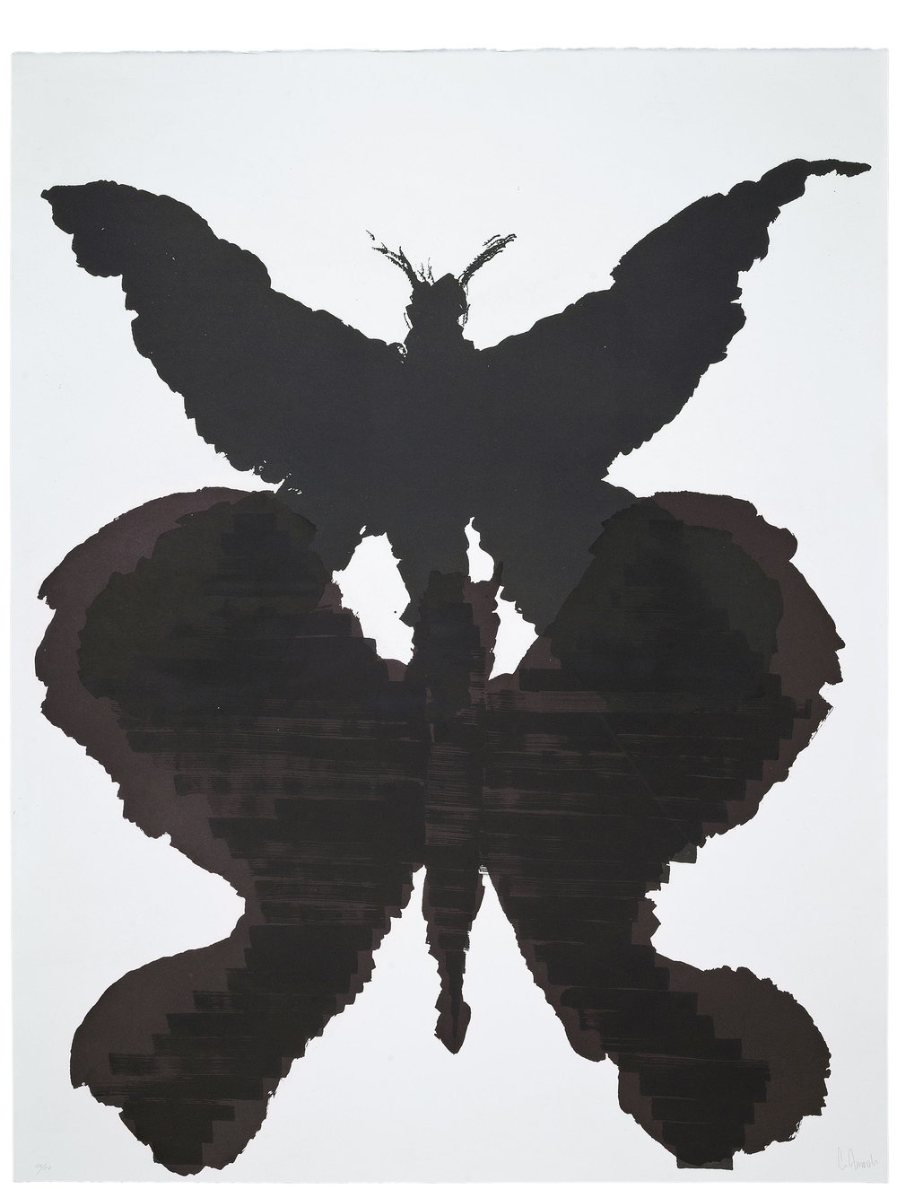 Image of CARLOS AMORALES - MARIPOSAS NEGRAS V