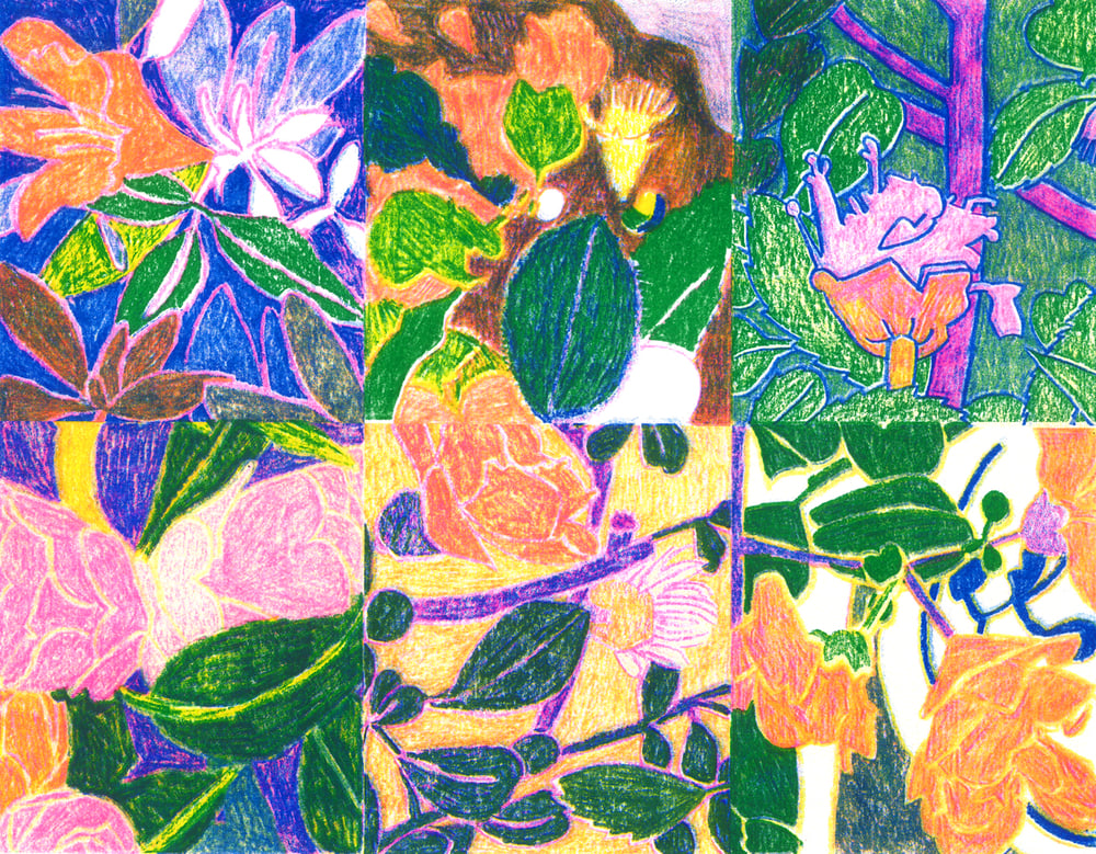 Image of The Promise of Blooming