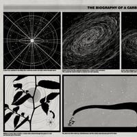 Image 2 of BIOGRAPHY OF A CARBON ATOM - WOOD PANEL