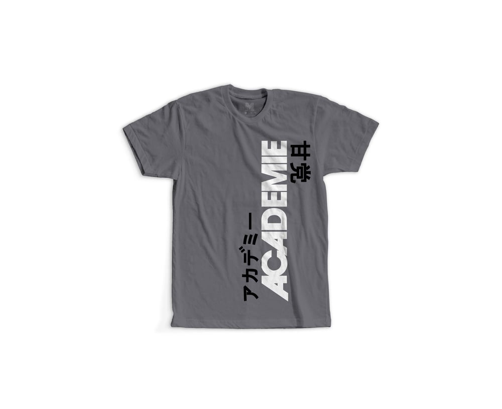 Image of ACADEMIE AMATO VERT TEE GREY WHITE W/BLACK 