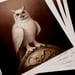 Image of Luke Hillestad 'Owl of Athena' giclée print signed & numbered