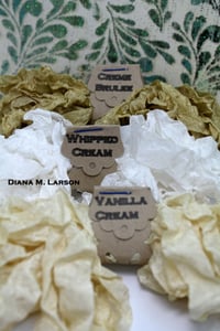 Image 1 of Creamy Dreamy Bundle, crinkle Ribbon