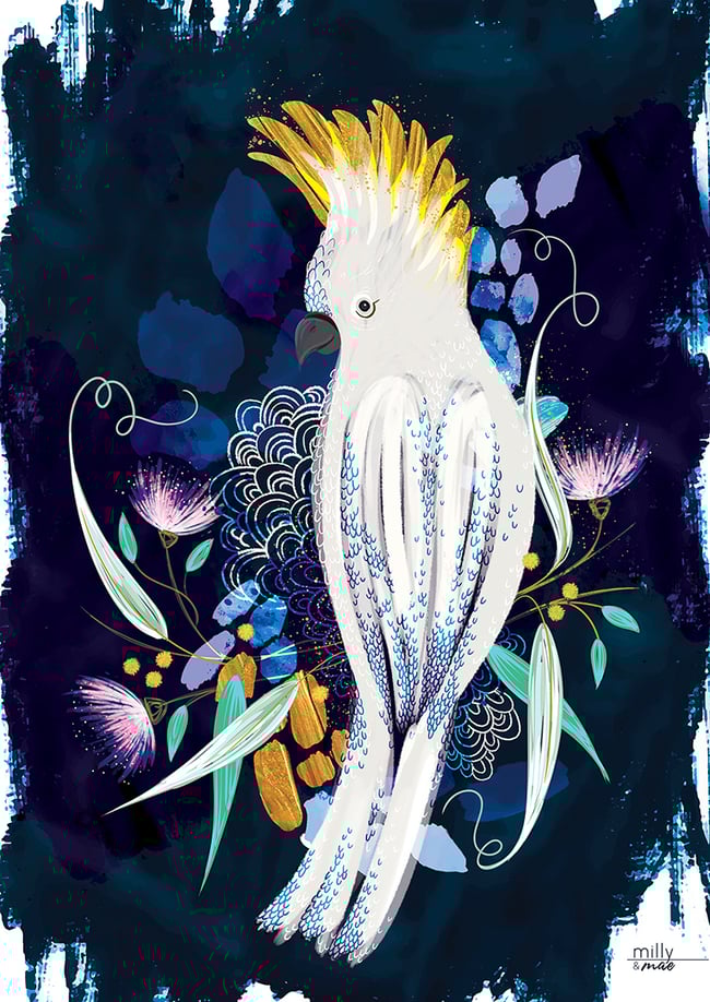 Cockatoo - Art Print