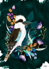 Kookaburra - Art Print