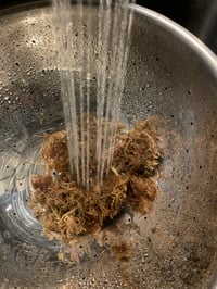 Image 5 of Carrageen Wild Crafted Sea Moss