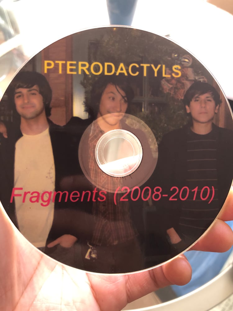 Image of PTERODACTYLS- "Fragments" 