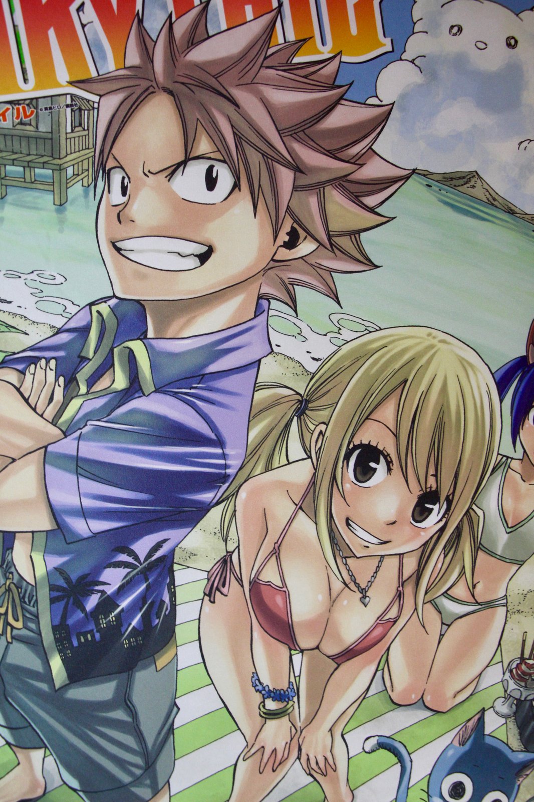 free download fairy tail rare monster