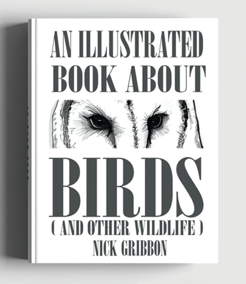 Image of An Illustrated Book About Birds (And Other Wildlife) Hardback