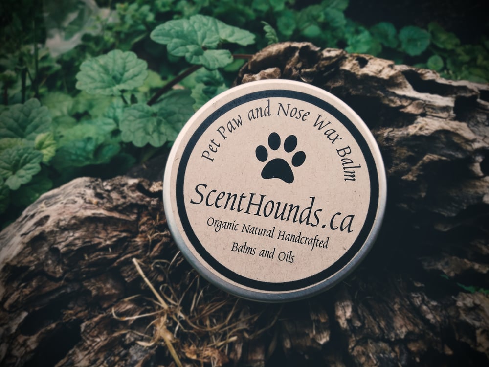 Image of Pet Paw and Nose Wax Balm 2oz