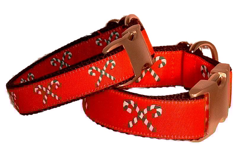 Unique Designer Fabric Dog Collars For Big And Small Dogs