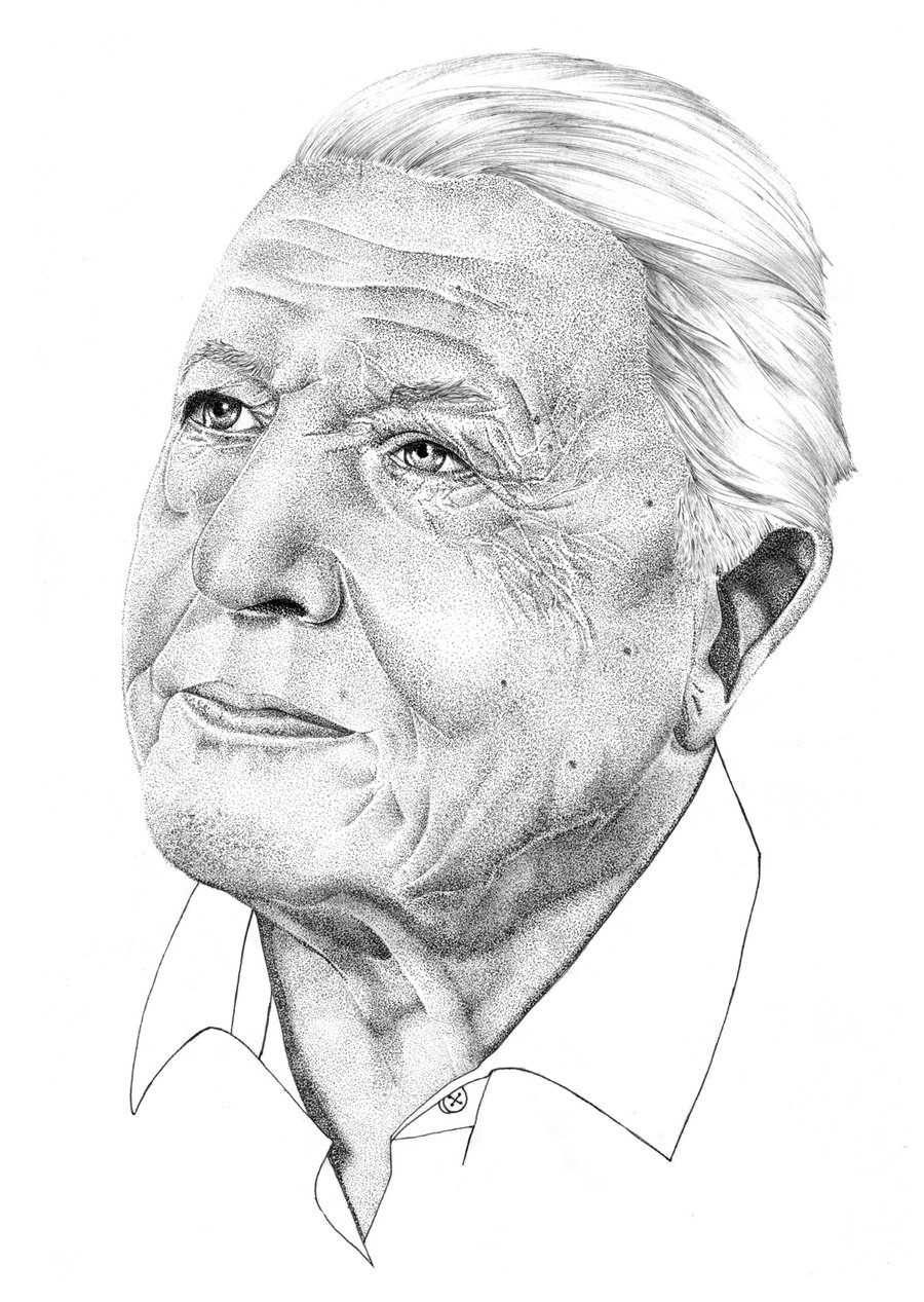 Image of DAVID ATTENBOROUGH