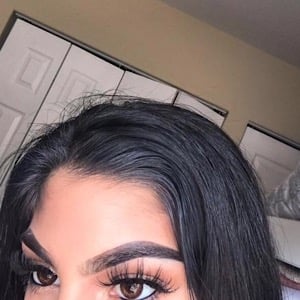 FreshTone Blends Chocolate