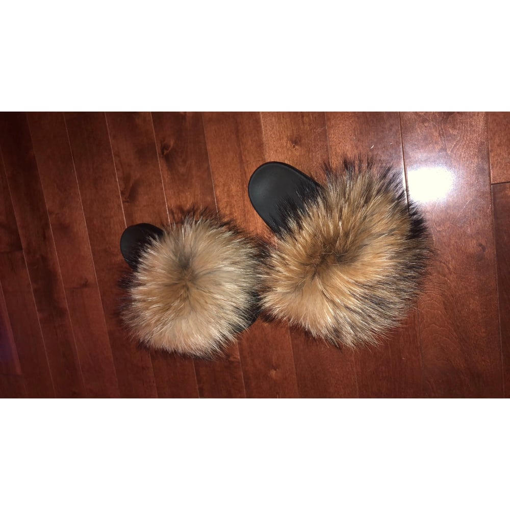 Image of ORIGINAL RACCOON