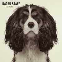 Image 4 of Radar State - Strays