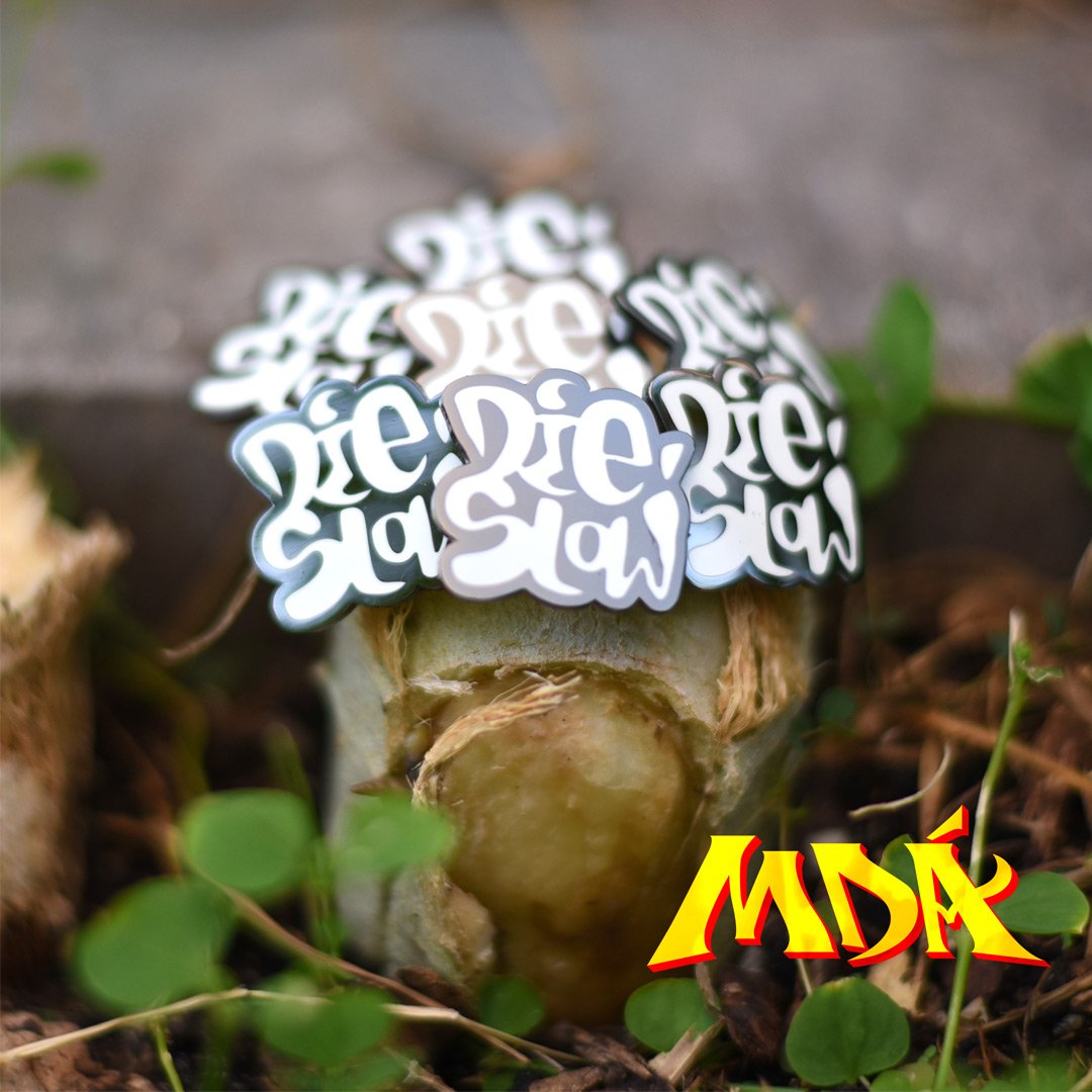 Image of "Die SLoW" Pin