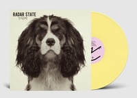 Image 3 of Radar State - Strays