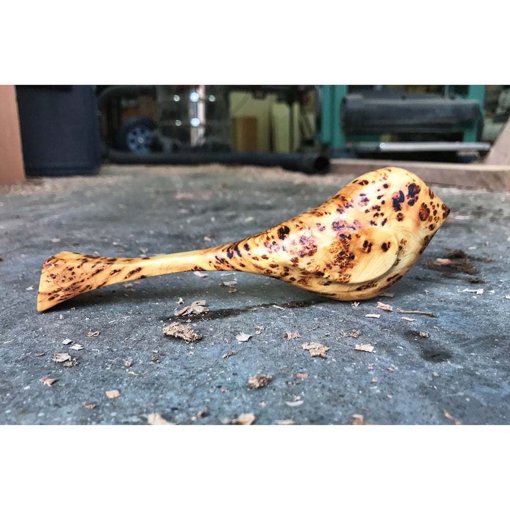 Image of PRE-ORDER Pitch Pocket Yellow Cedar Burl Bird 