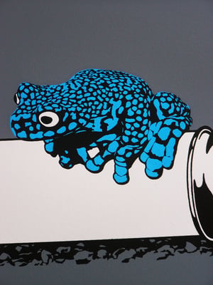 Image of Alex Zanda - Frog on a spraycan 