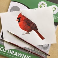 Image 4 of Wolsey Cardinal ~ Removable Wall sticker