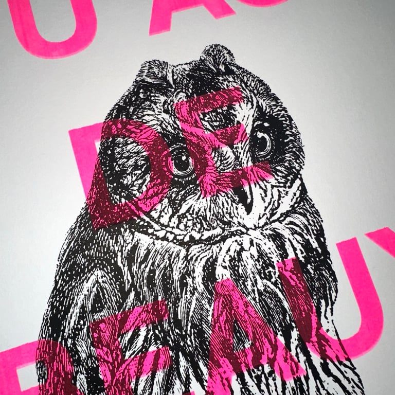 Affiche « Tu as de beaux yeux tu sais » version chouette Image 2