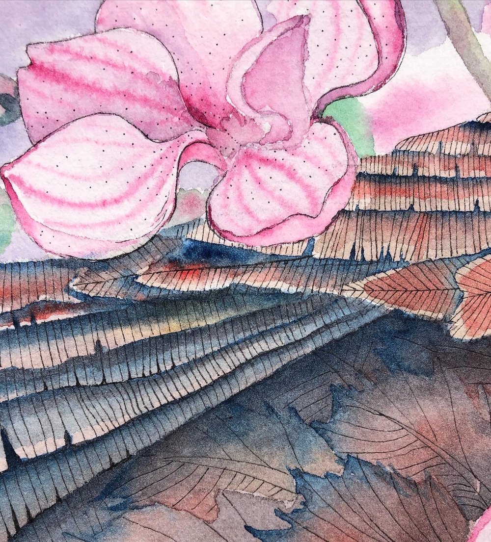 Image of Spring Vulture