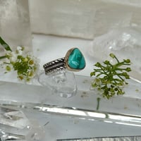 Image 2 of Emerald Valley Kingman Turquoise w/ 14K Gold Bezel~Size 6