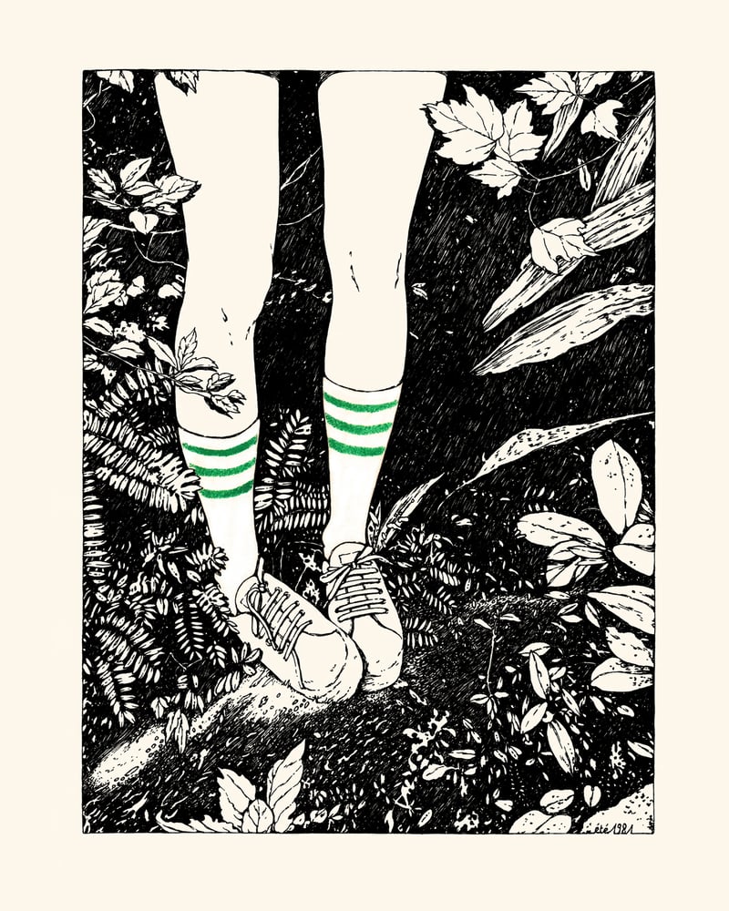 Image of DIABOLO MENTHE 24x30 cm