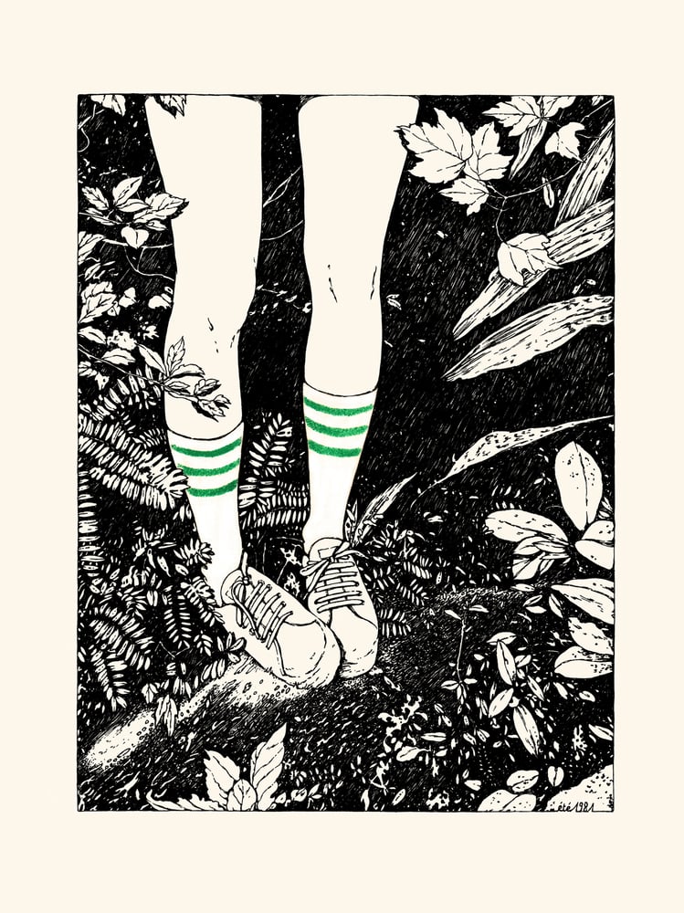 Image of DIABOLO MENTHE 30x40 cm