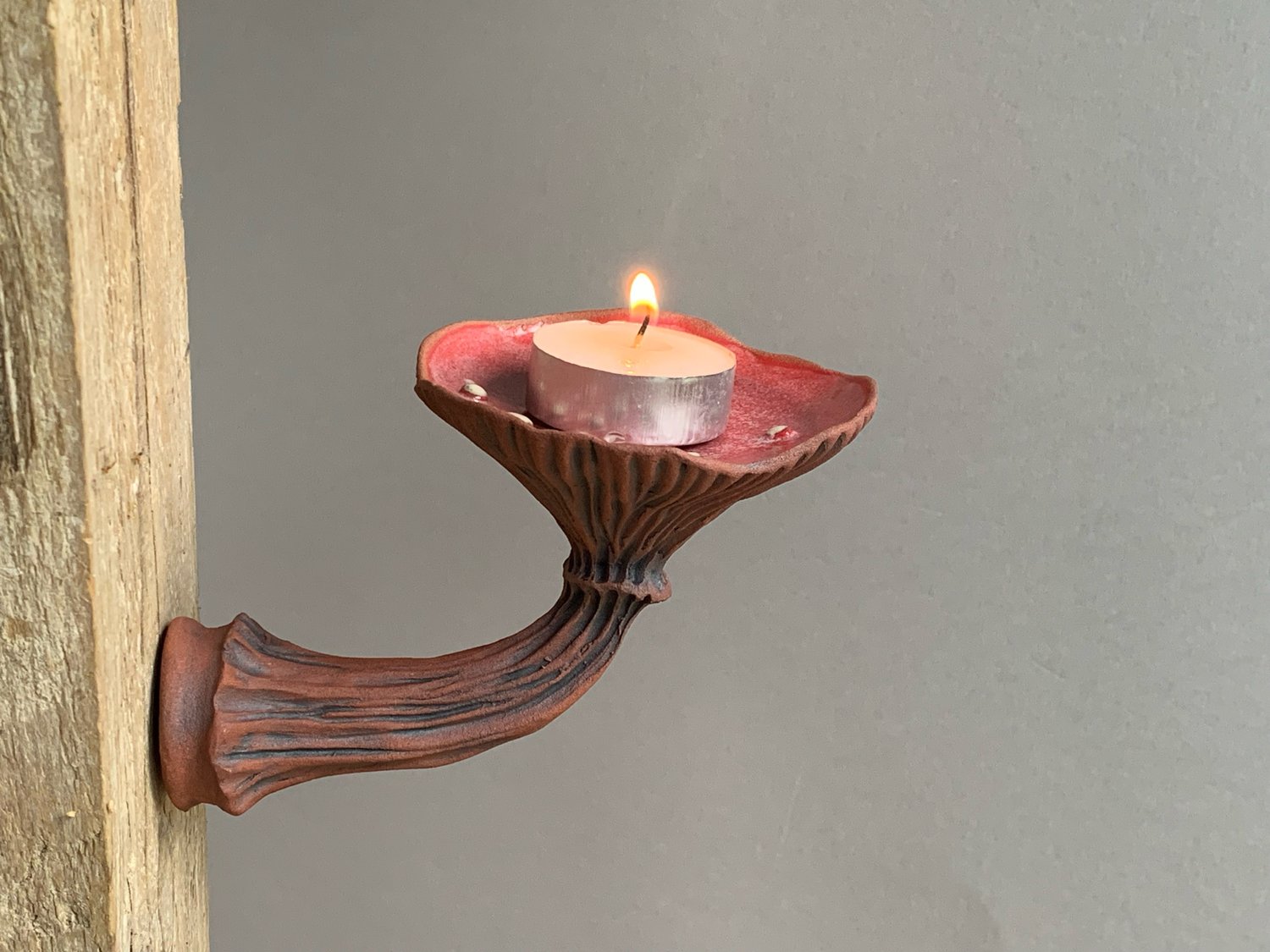 Image of Red Wall Mushroom 