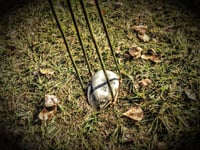 Image 2 of EVO Stone Sling