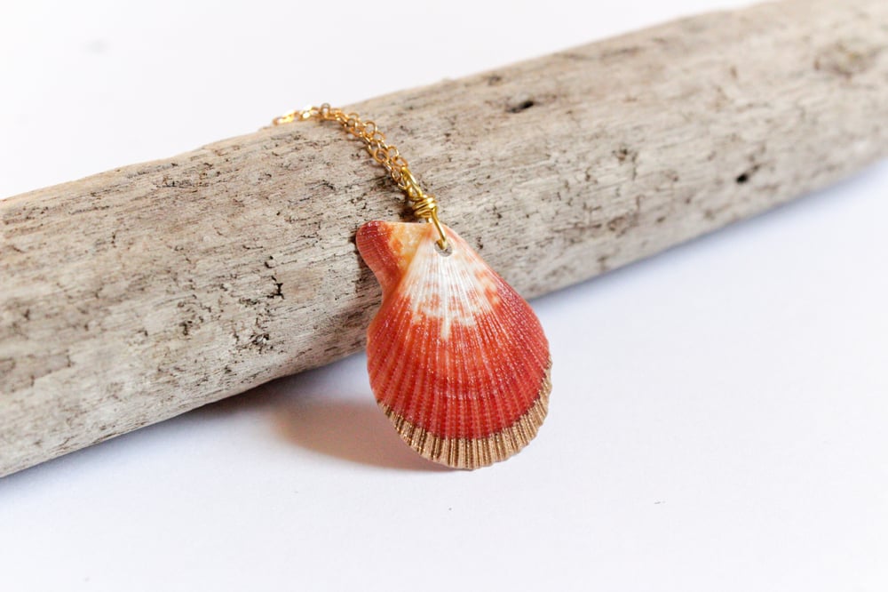 Image of Scallop Seashell Gold Dipped Necklace