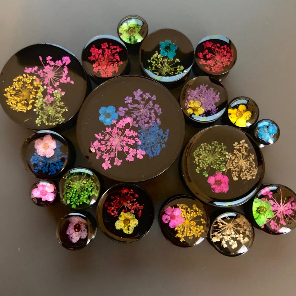 Image of Real Pressed Flower Plugs On Black (Sizes 0g-2”)