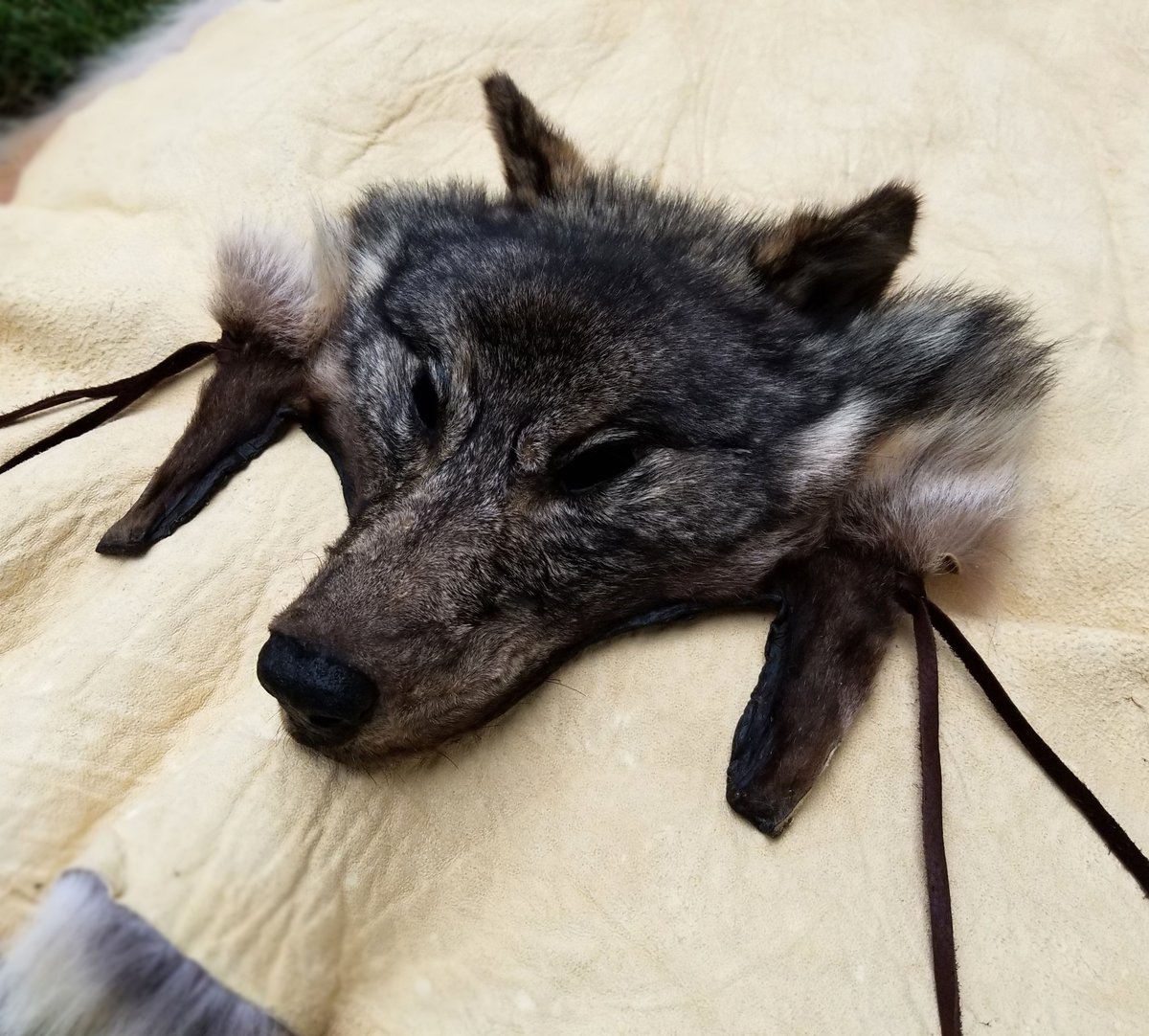 Image of Wolf Headdress