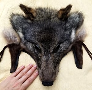 Image of Wolf Headdress