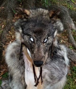 Image of Wolf Headdress