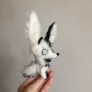 Image of Pierrot the Fennec Fox