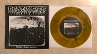 Image 3 of AGATHOCLES / G.I JOKE SPLIT - WHAT I HAVE SEEN 7" VINYL