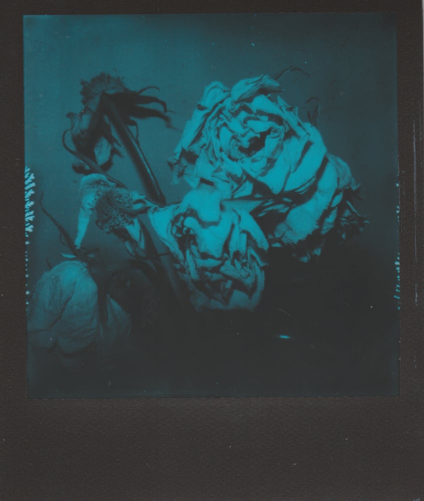 Image of Ephemeral - Polaroid Sticker