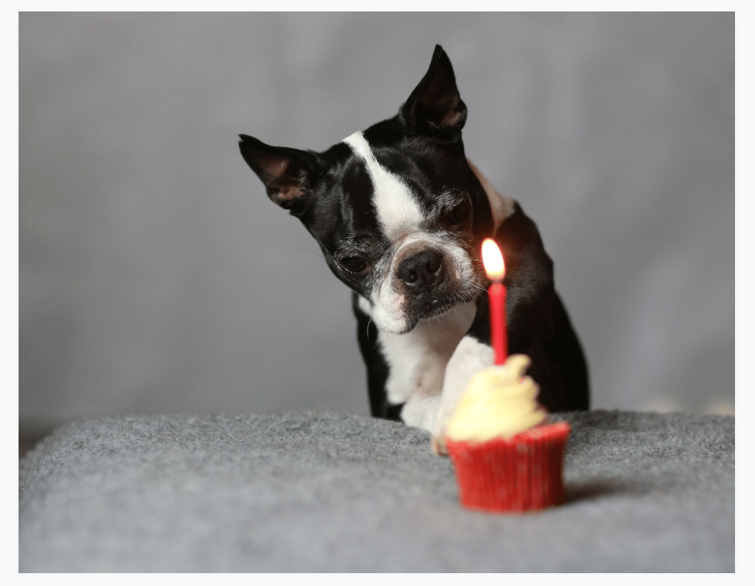 Image of All Occasions Greeting Card Bundle