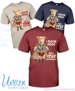 Image of Destiny the Superhero T-shirt Unisex