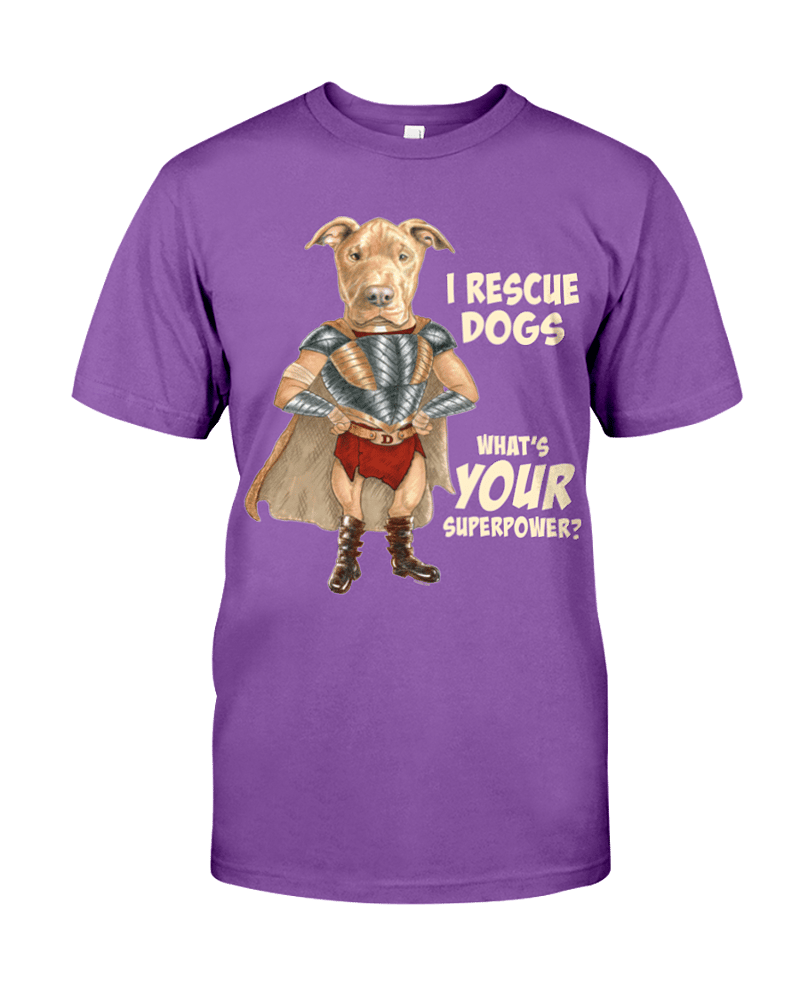 Image of Destiny the Superhero T-shirt Unisex