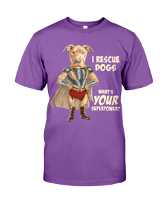 Image of Destiny the Superhero T-shirt Unisex