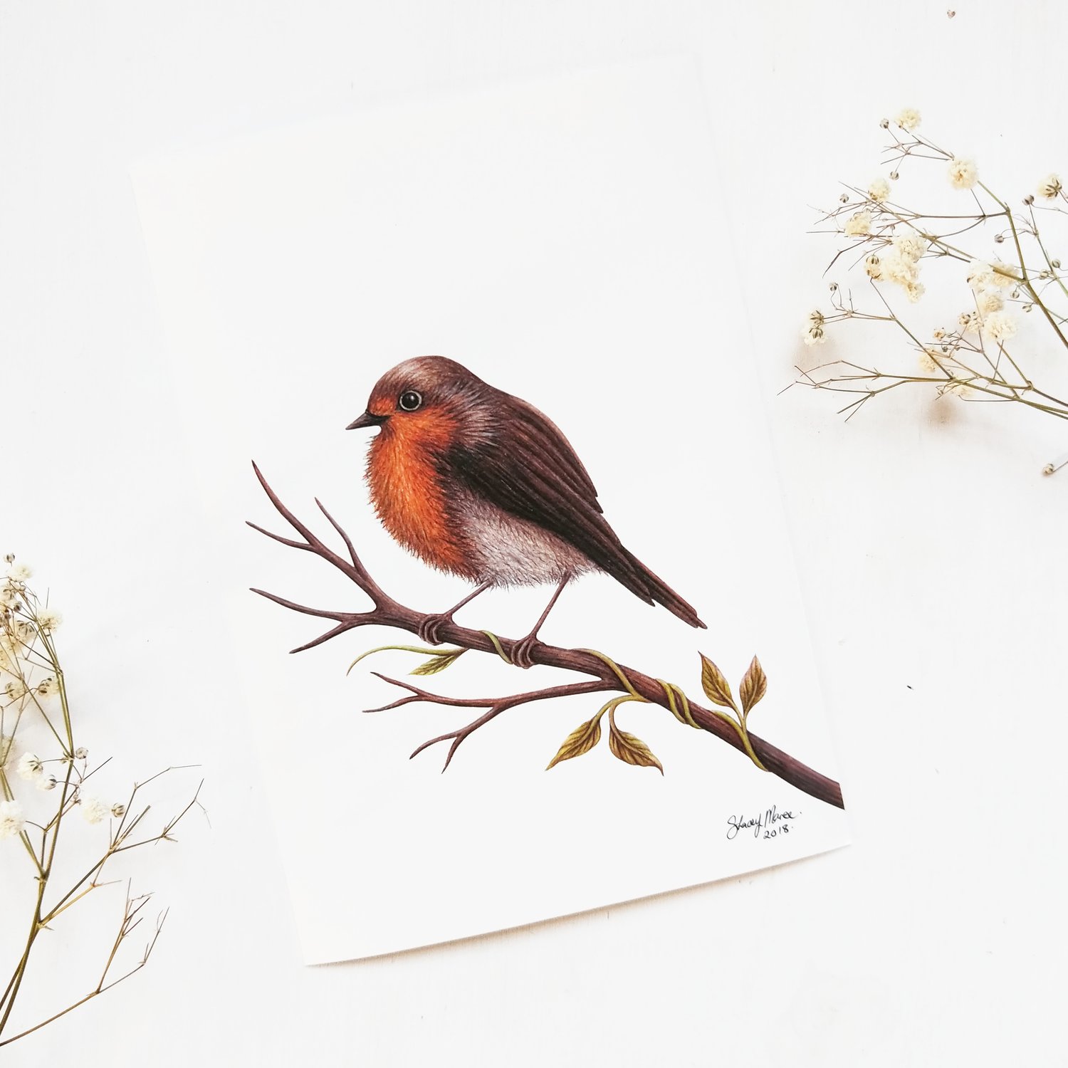 Image of Robin - Fine Art Giclée Print