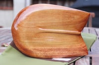 Image 3 of Fish - Stock Plane